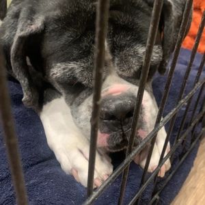 Meet your Posher, Francisco